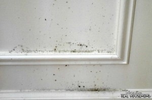 Mold