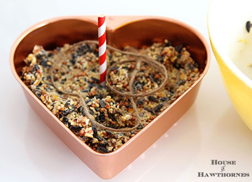 diy birdseed cake - DIYscoop.com