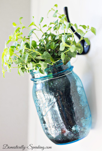 hanging mason jar herb planter- DIYscoop.com