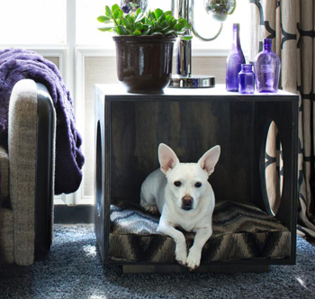 plywood table and pet bed- DIYscoop.com