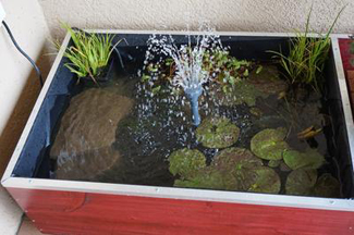small pond - DIYscoop.com