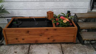 small pond - DIYscoop.com