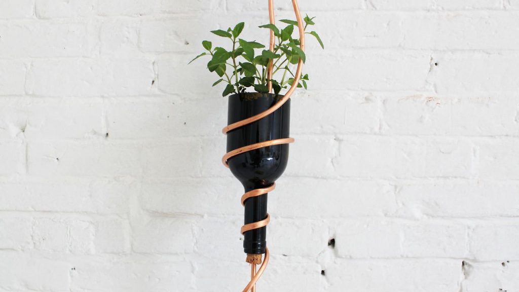 Ingenious Way to Use Old Wine Bottles- DIYscoop.com