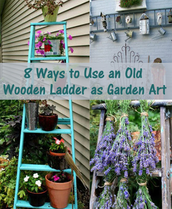 Featured image of post Old Ladders In The Garden - An old ladder in the garden will help your yard to have even more eye catching beauty.