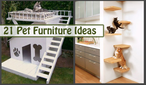 21 pet furniture ideas- DIYscoop.com
