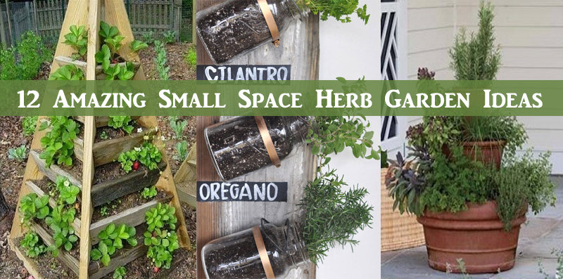 12 amazing small space herb garden ideas