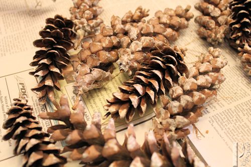 Adorable Pine  Cone  Star Decorations  DIY  DIY  Scoop